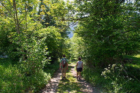 Talk walk therapy
